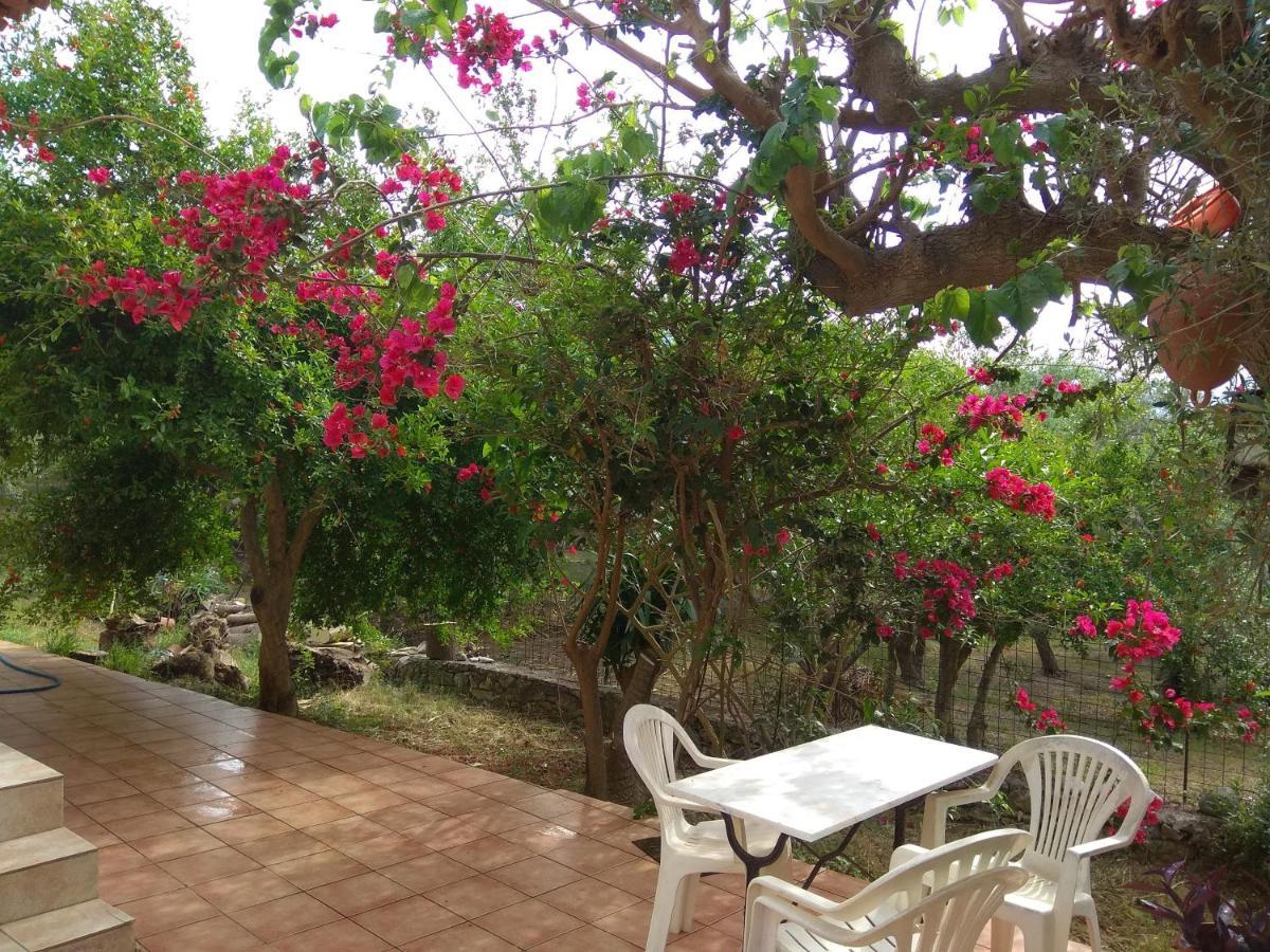 Apartmán Ktima Tzamika Episkopi-Chania Exteriér fotografie