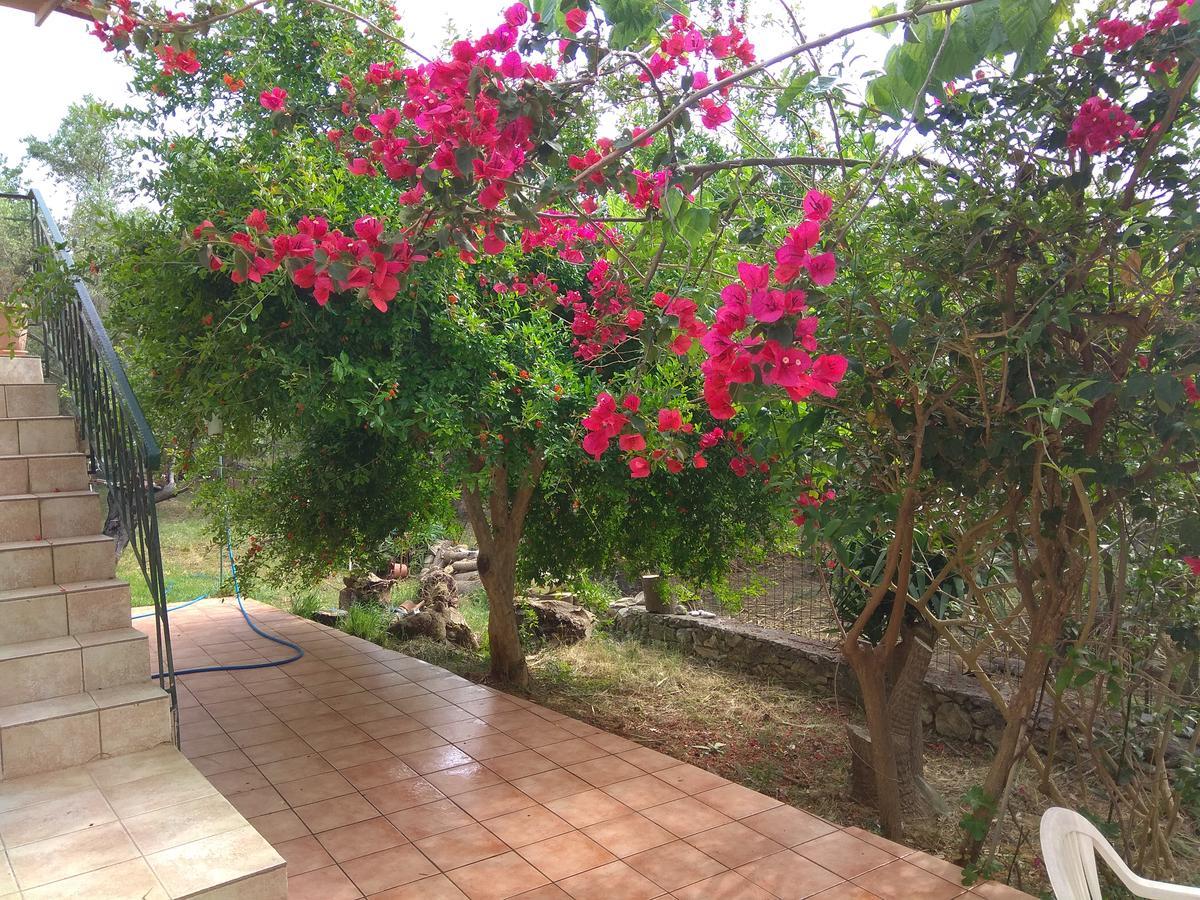 Apartmán Ktima Tzamika Episkopi-Chania Exteriér fotografie