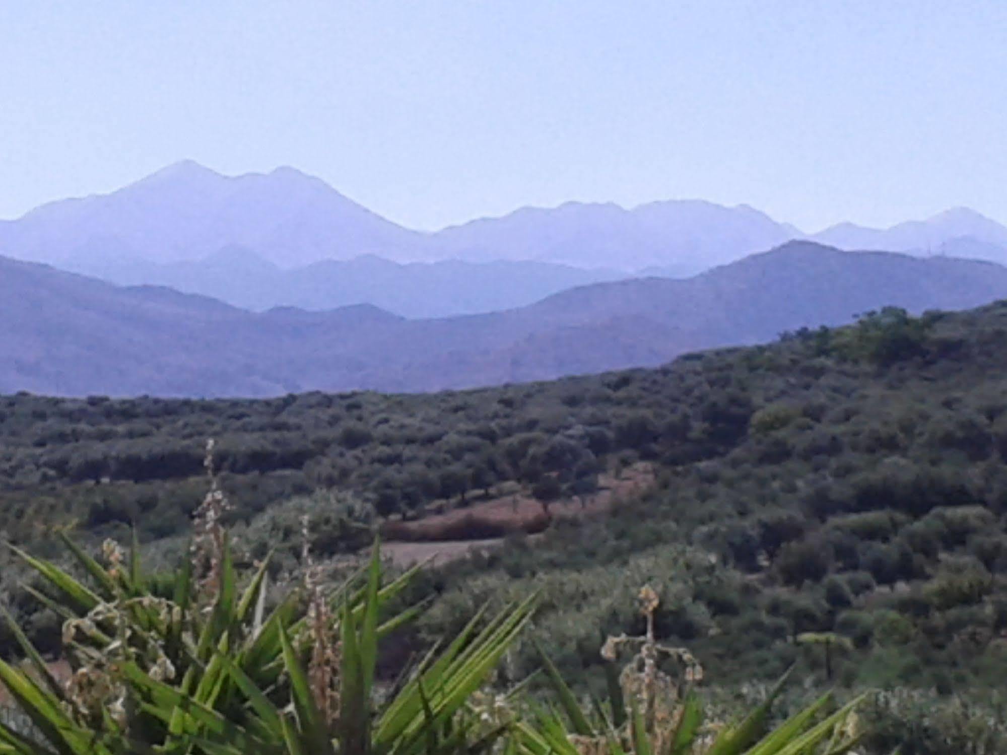 Apartmán Ktima Tzamika Episkopi-Chania Exteriér fotografie
